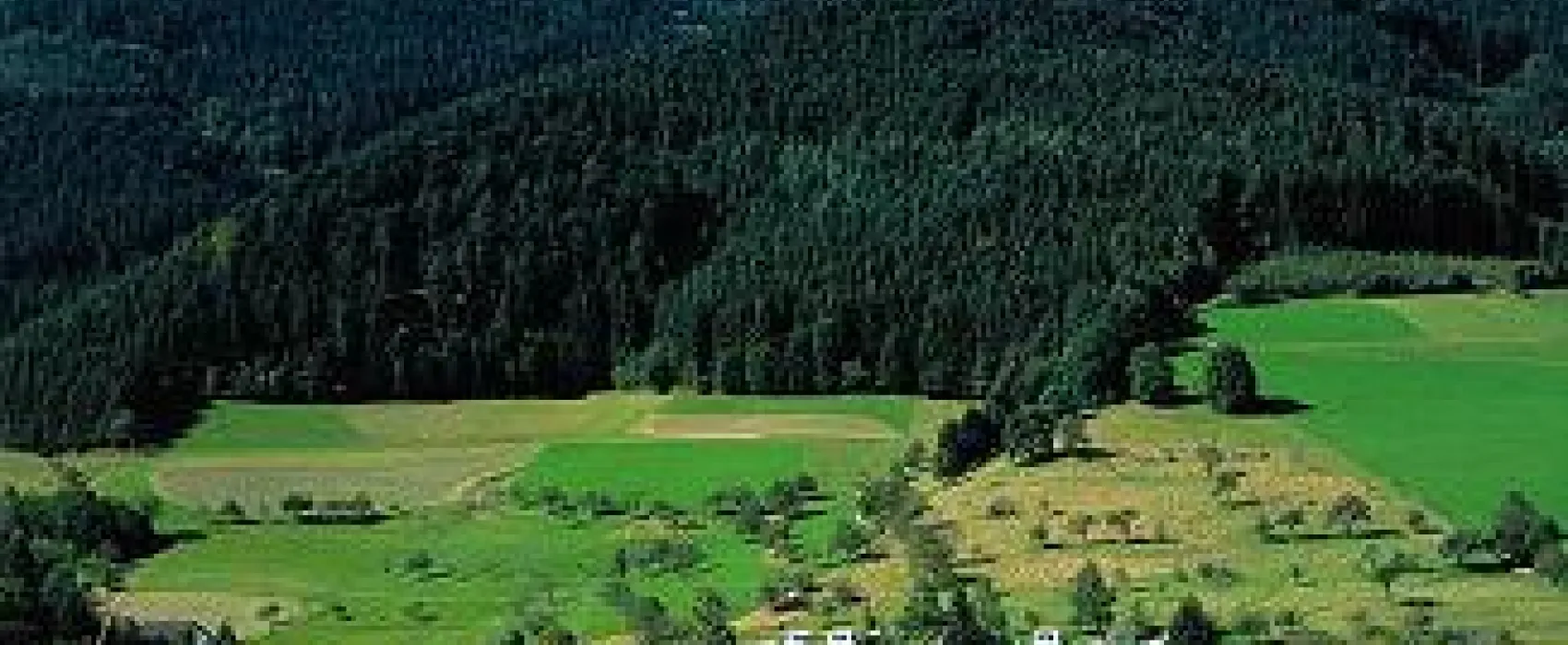 Camping Schwarzwaldhorn