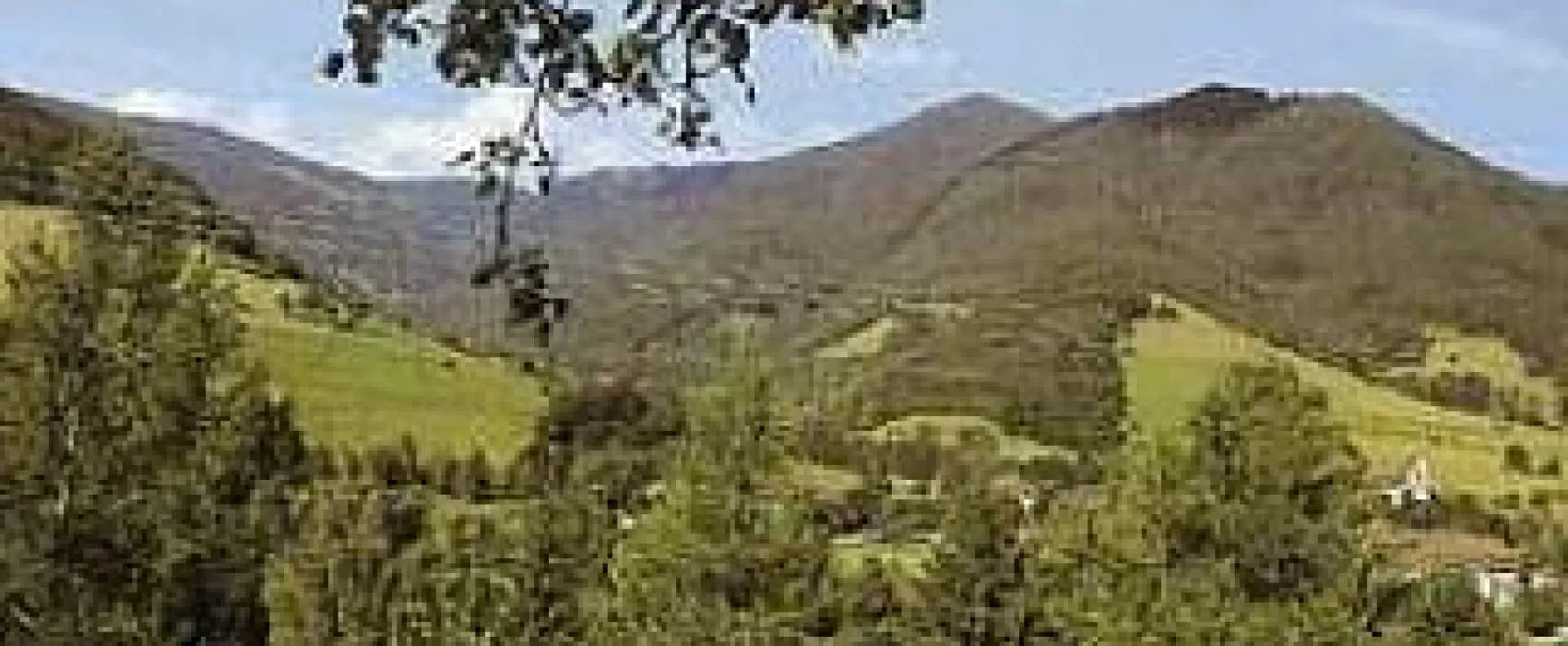 Camping Schwarzwaldhorn