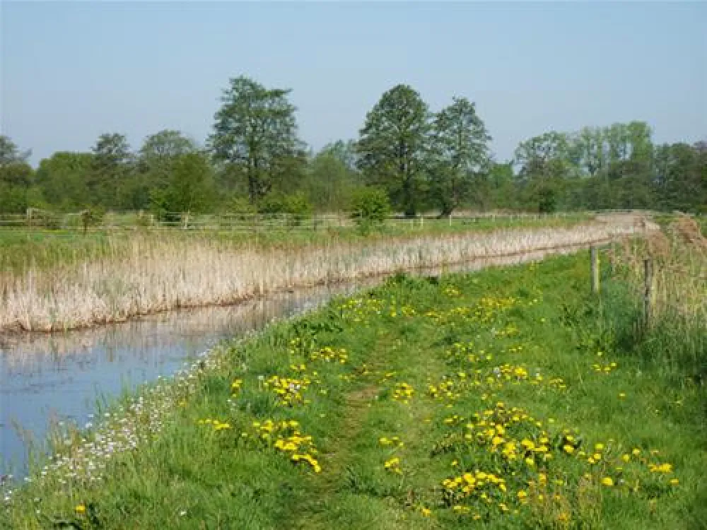 Camping De Knieplanden