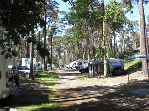 pavillons camping Pavillon CampBase – Naturbummler main image 0
