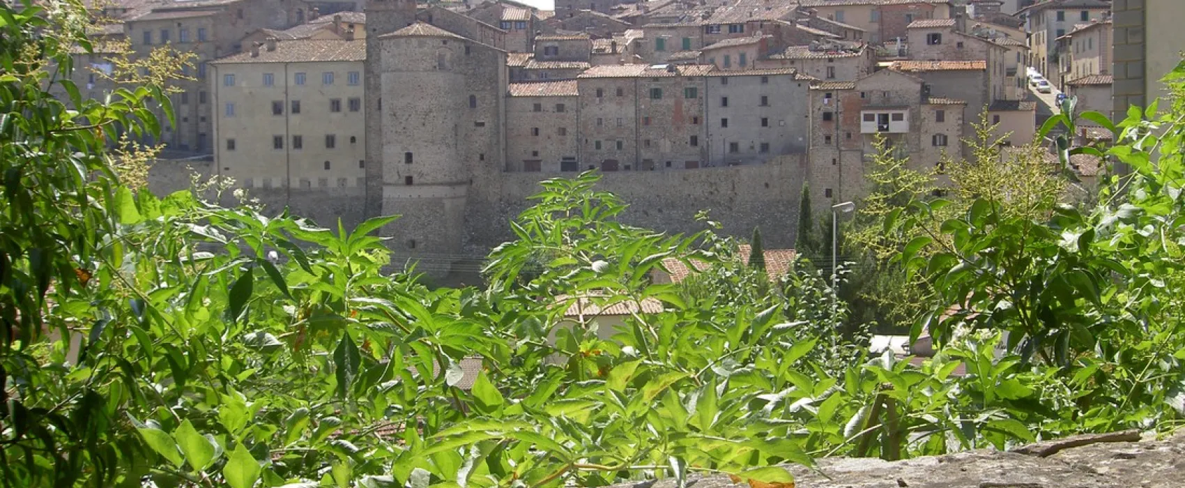 Campeggio Michelangelo