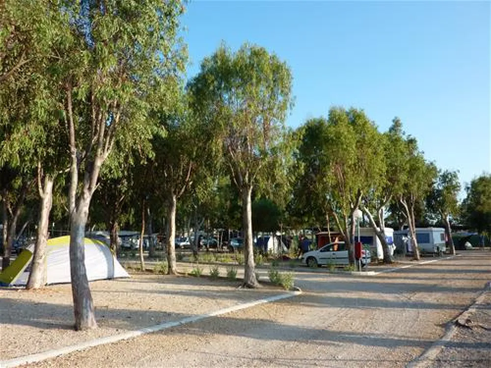 Camping Torrenostra