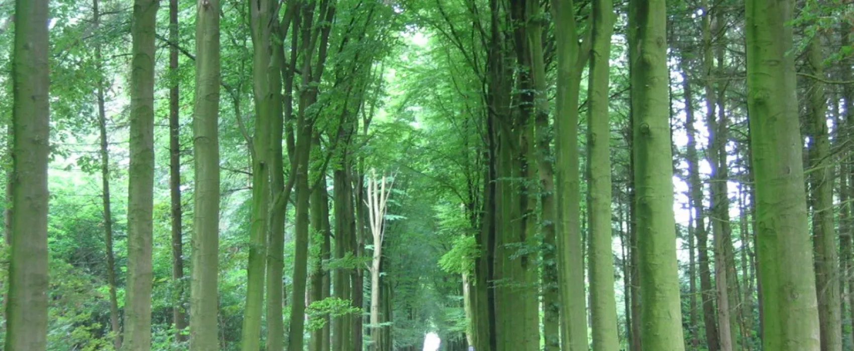 Natuurkampeerterrein Landgoed het Jagershuis