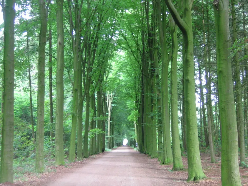 Natuurkampeerterrein Landgoed het Jagershuis