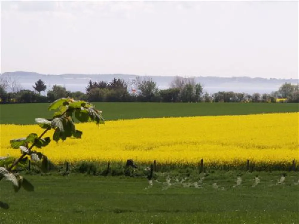 Ostseecamping Familie Heide