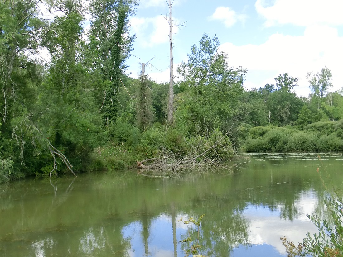 Camping Les Graulges photo 2