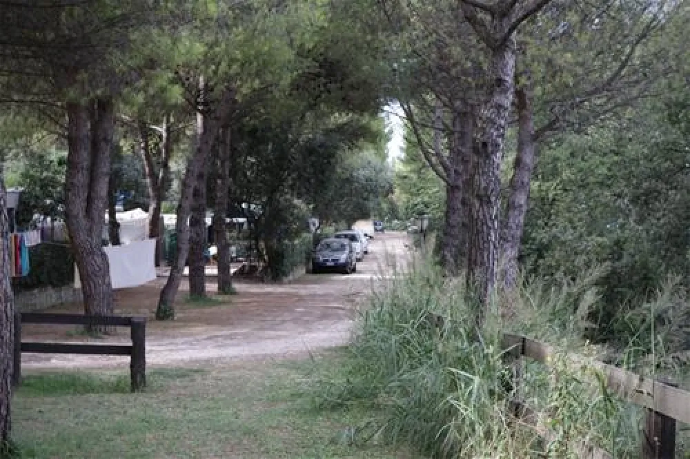 Camping Belvedere