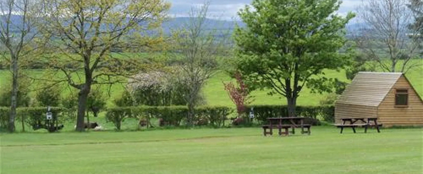 Low Moor Caravan Park