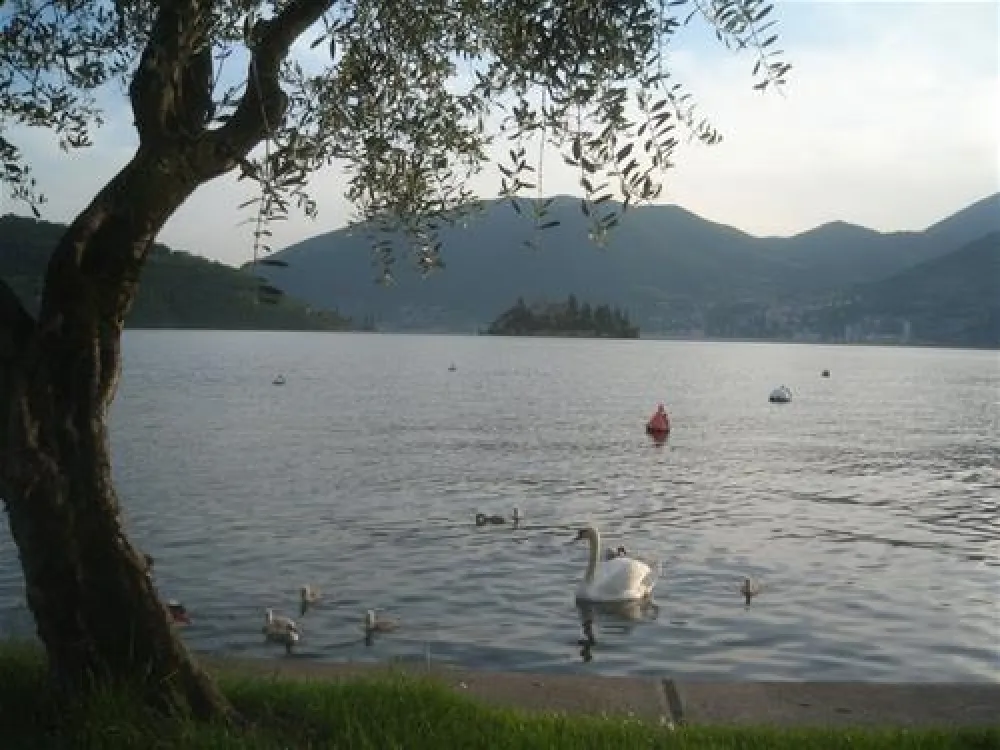 Campeggio Riva di San Pietro