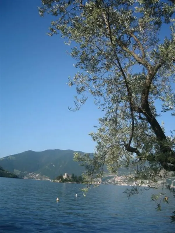 Campeggio Riva di San Pietro