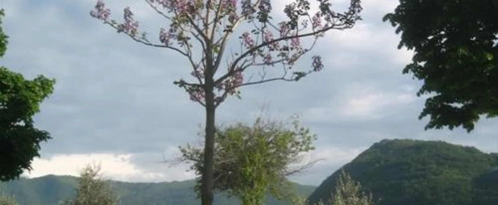 Campeggio Riva di San Pietro