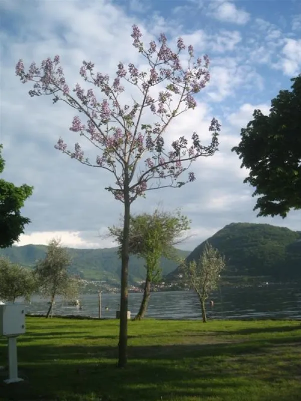 Campeggio Riva di San Pietro