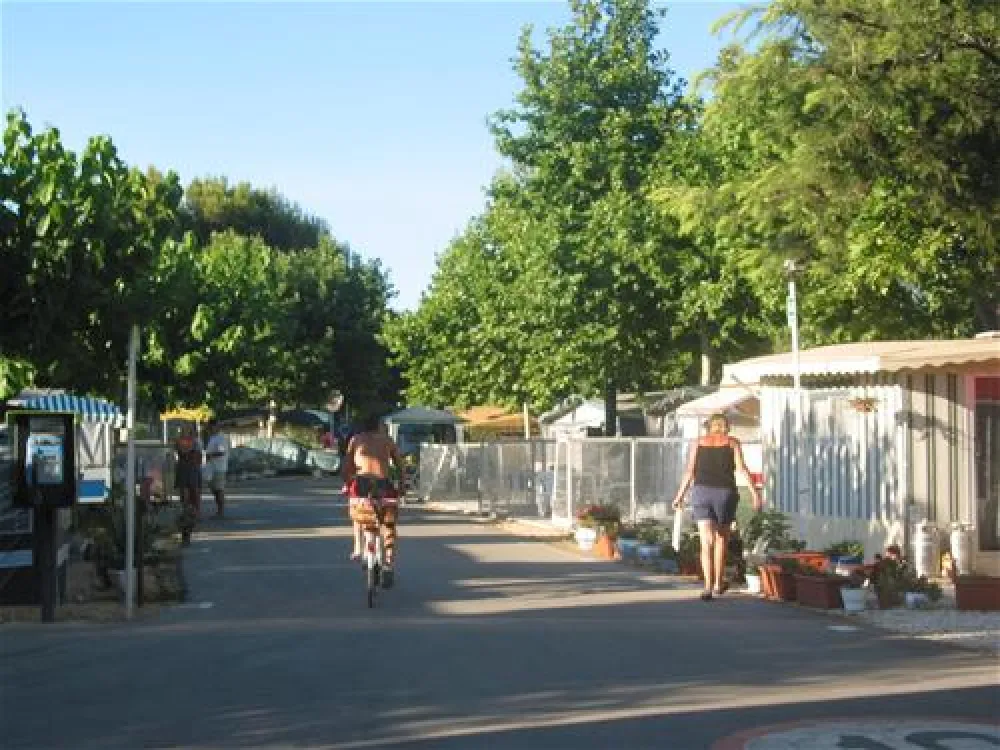 Camping Arena Blanca