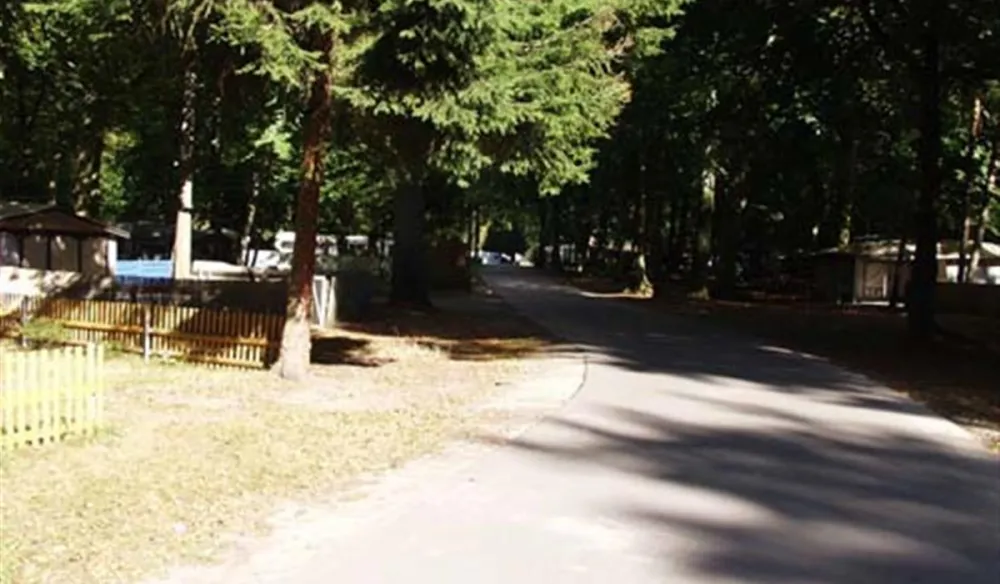 Ostseecamp Rostocker Heide