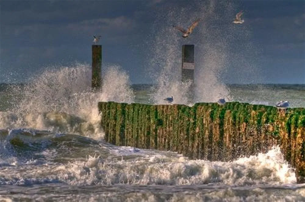Hof De Driesprong aan strand