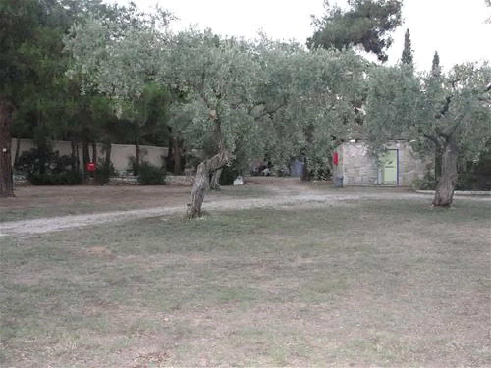 Campsite Pefkari