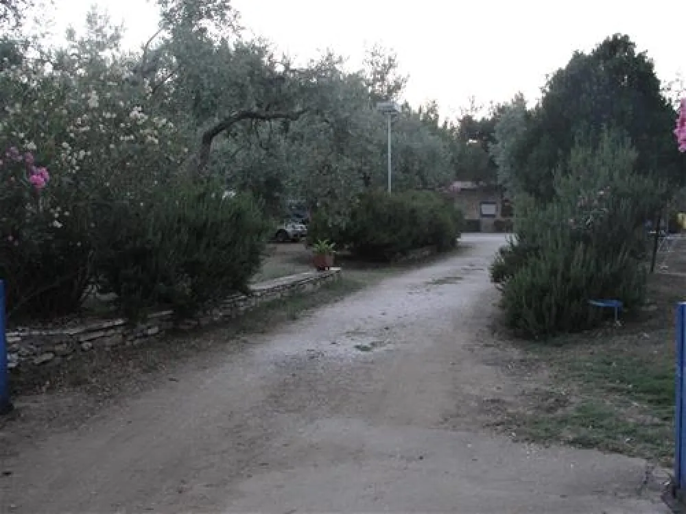 Campsite Pefkari