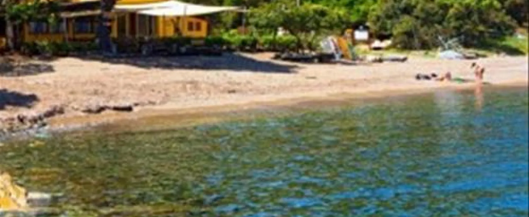 Tenuta delle Ripalte