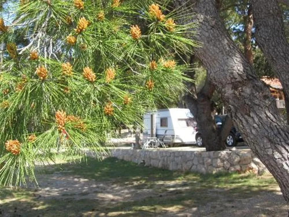 Camping Paklenica
