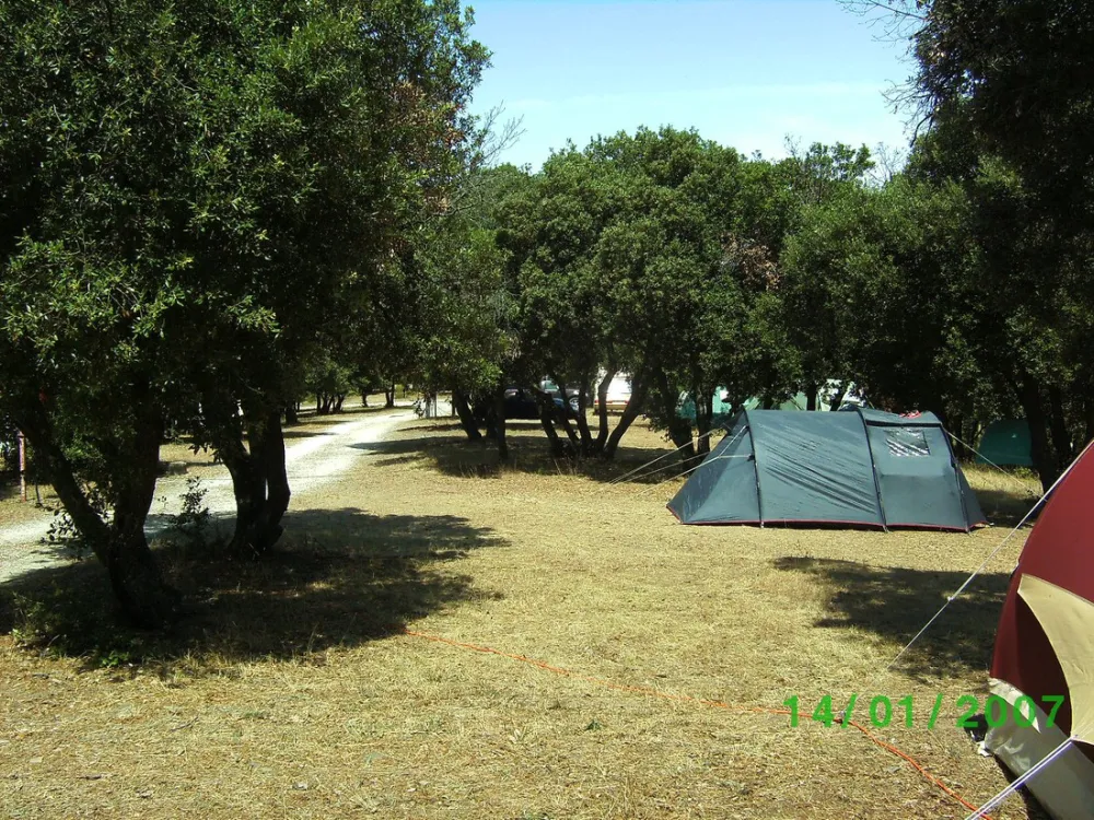 Camping Municipal Le Belvedere
