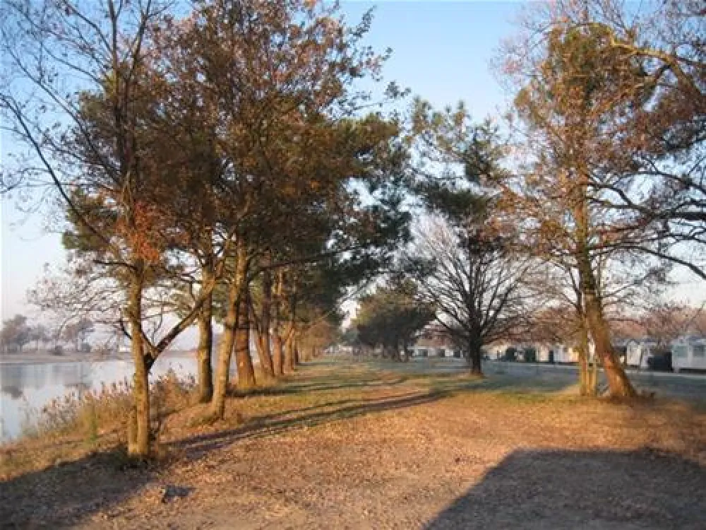 Domaine Du Roumingue  