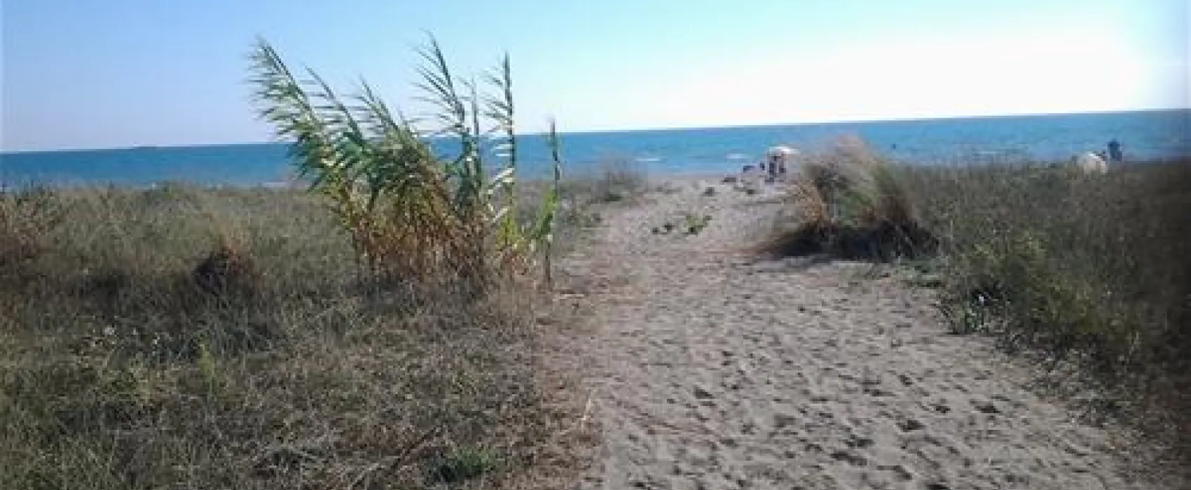 Camping Tropicana Beach