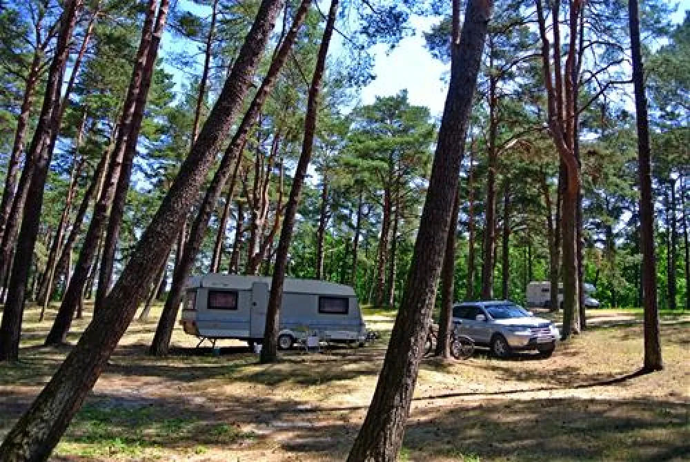Camping Gallus