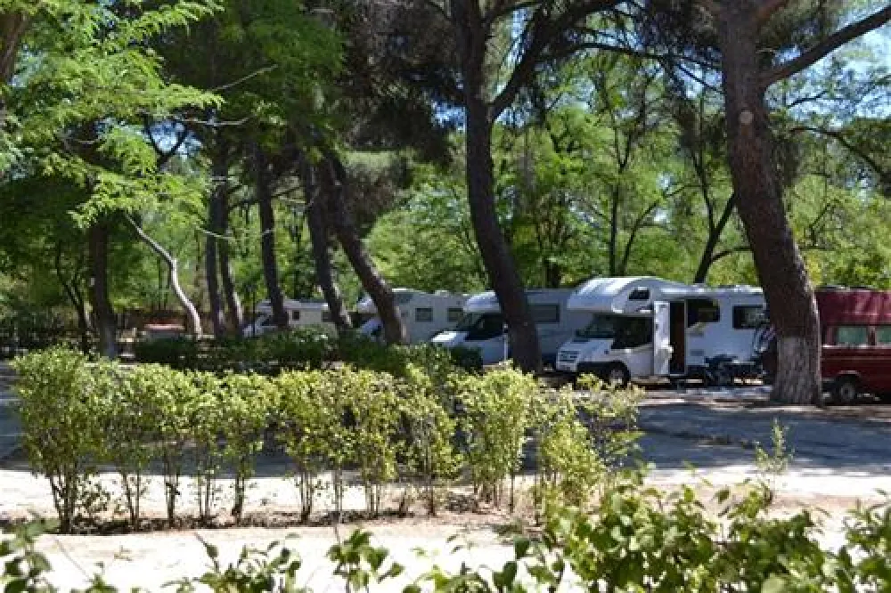 Camping Osuna