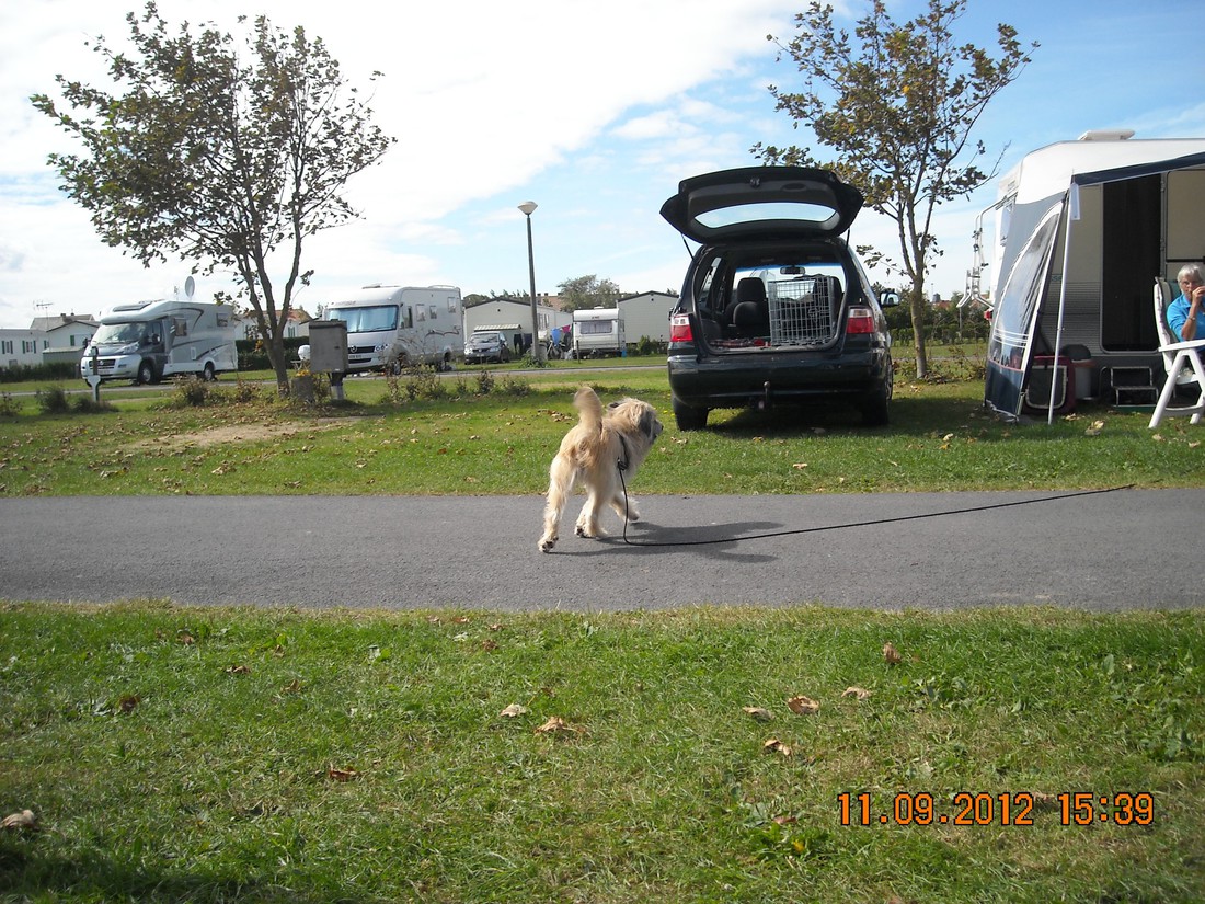 Camping Poldervallei photo 5