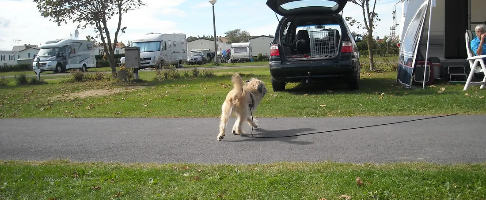 Camping Poldervallei