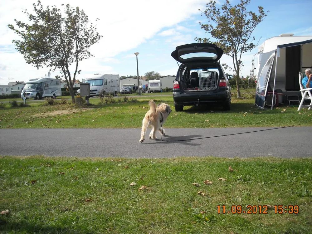 Camping Poldervallei