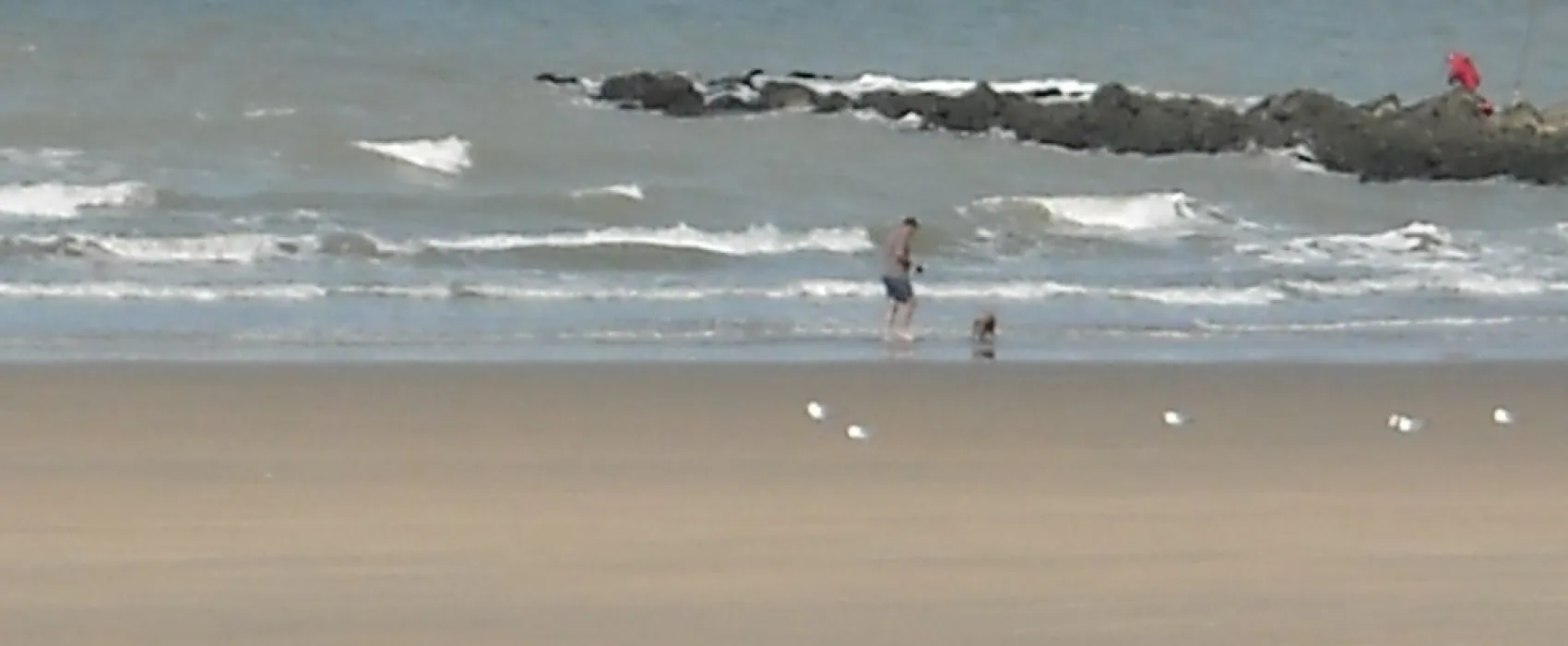 Camping Poldervallei