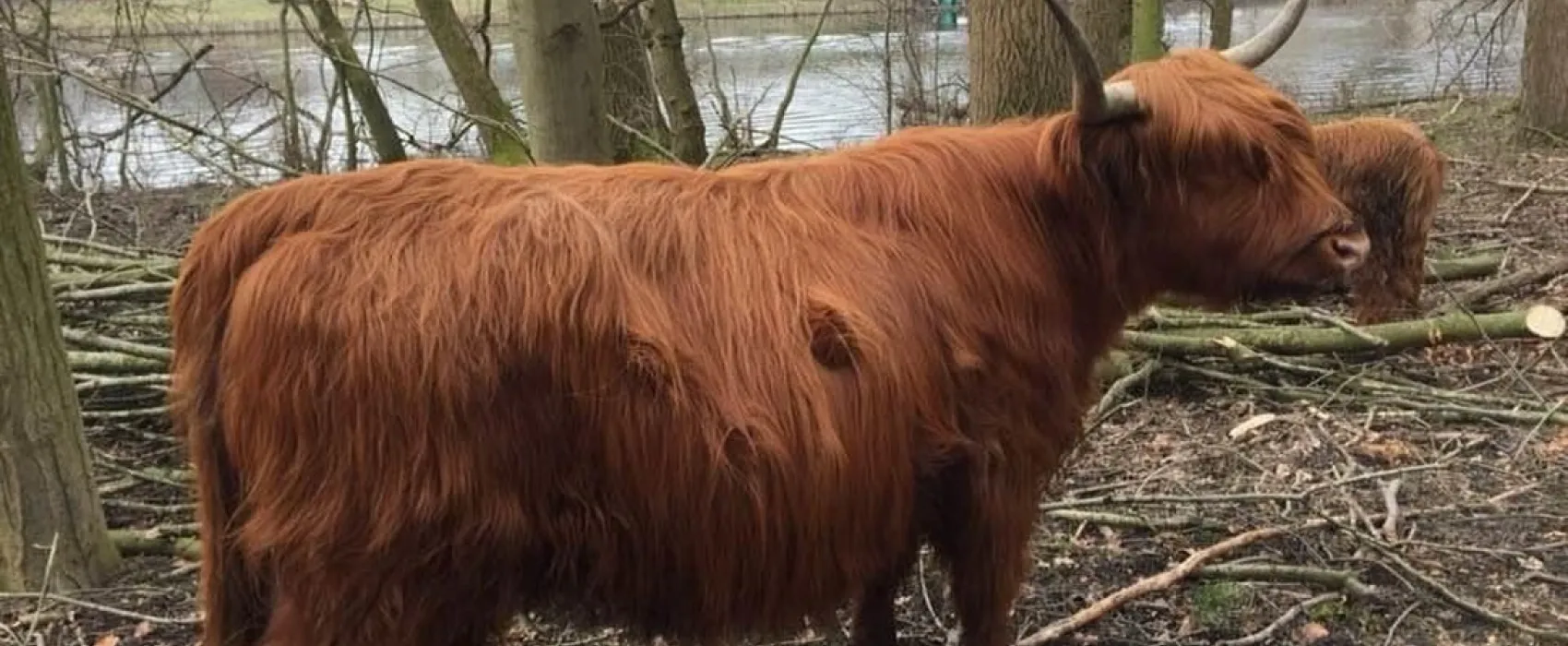 Camping Het Amsterdamse Bos
