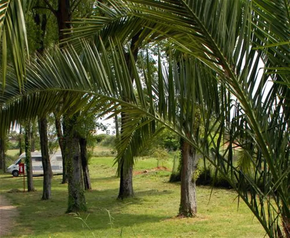 Parque de Campismo Orbitur Angeiras