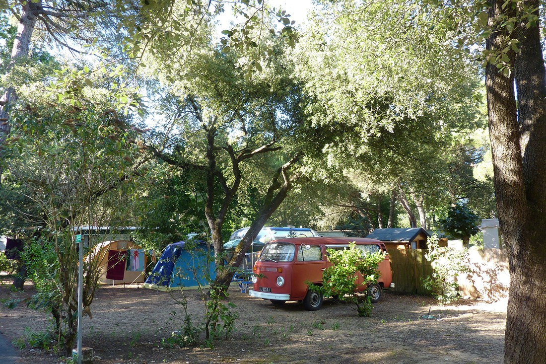 Camping Les Chardons Bleus - Photo 2