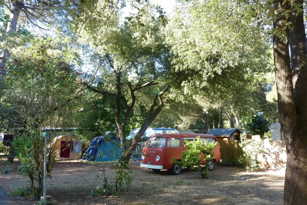Camping Les Chardons Bleus