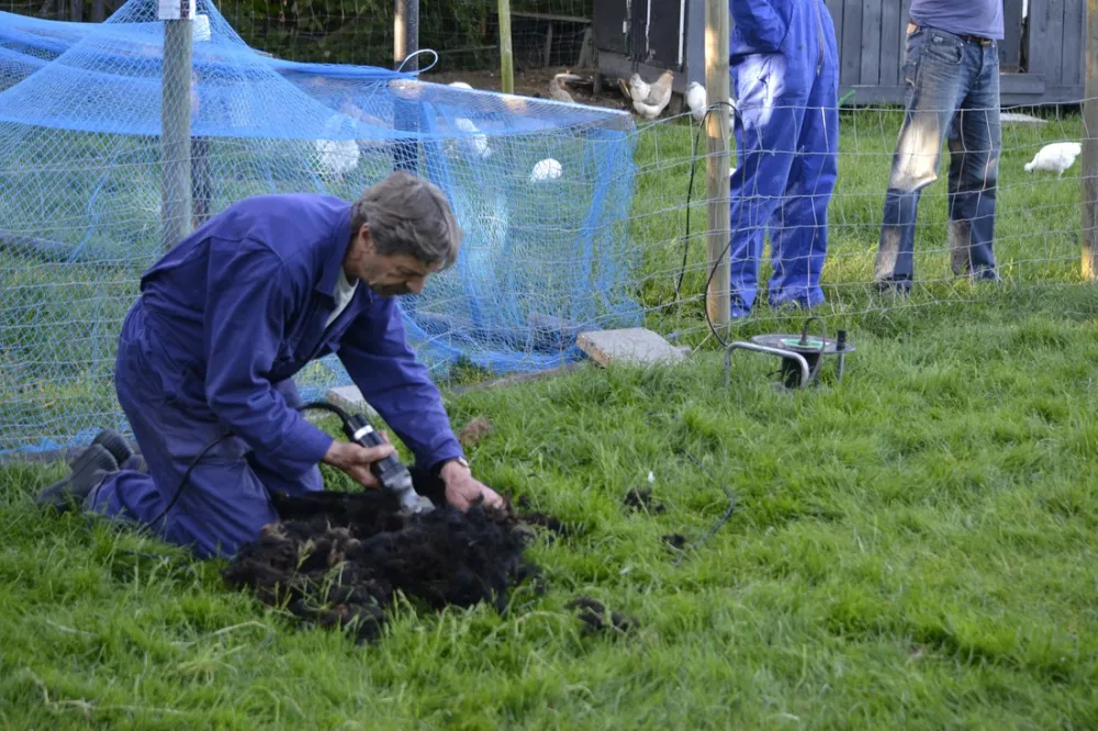 Camping DE KIEKENDIEF