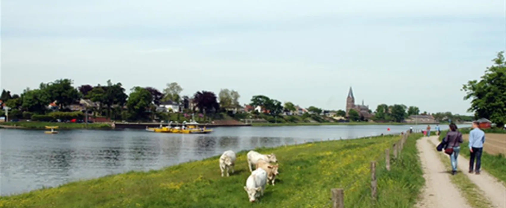 Camping Beringerzand