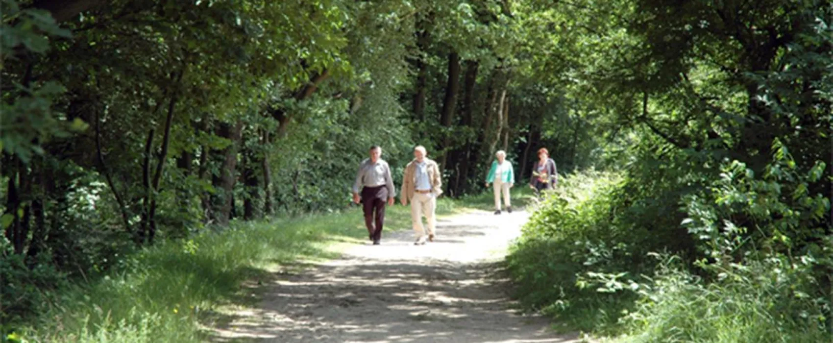 Camping Beringerzand