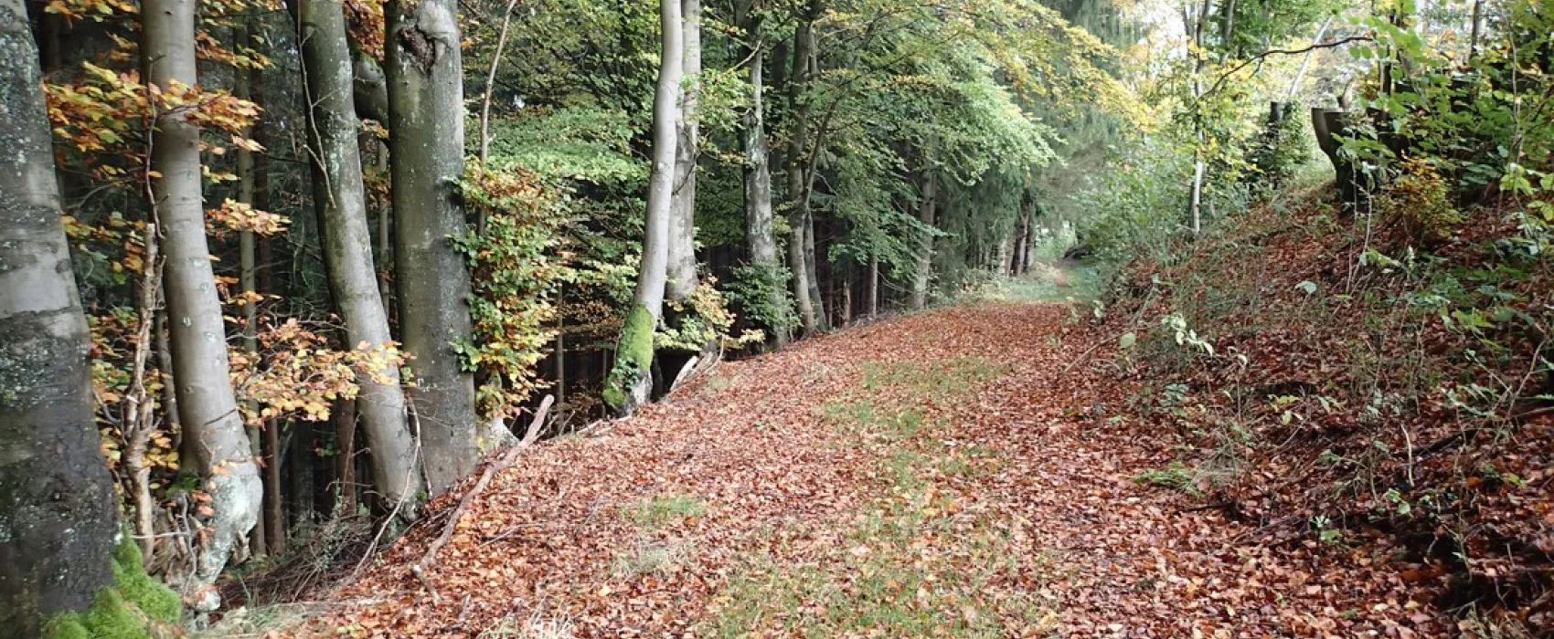 Camping Zum Jone Bur