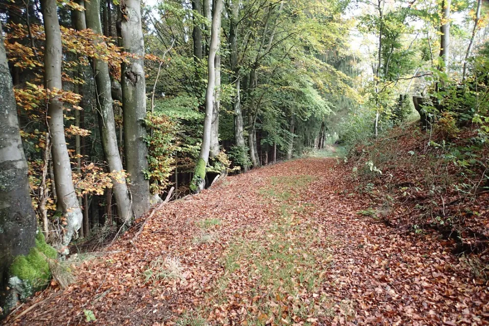 Camping Zum Jone Bur