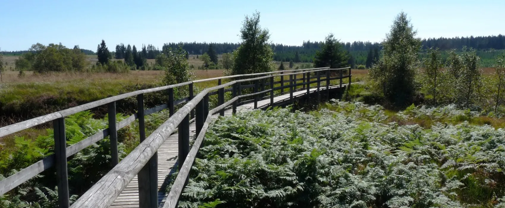 Camping Zum Jone Bur