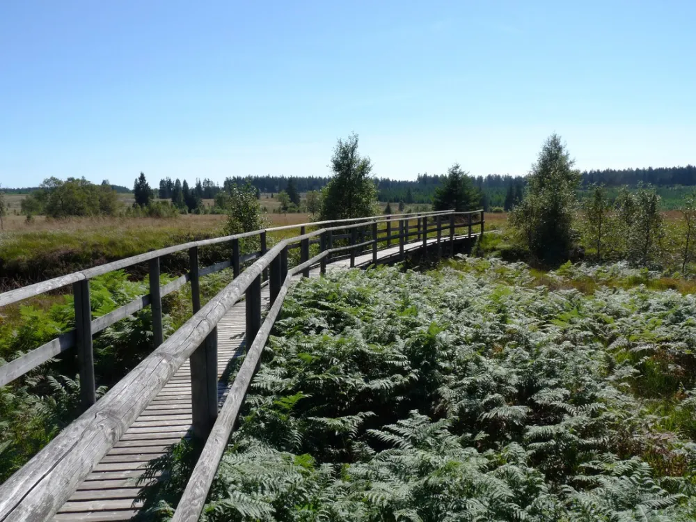 Camping Zum Jone Bur