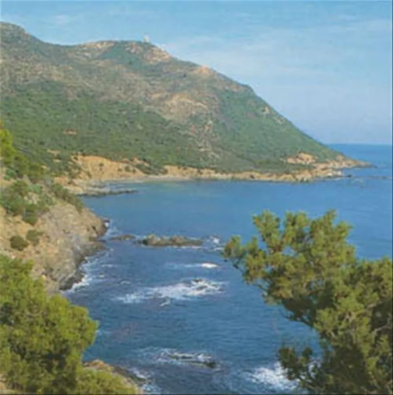 Campeggio Porto Corallo