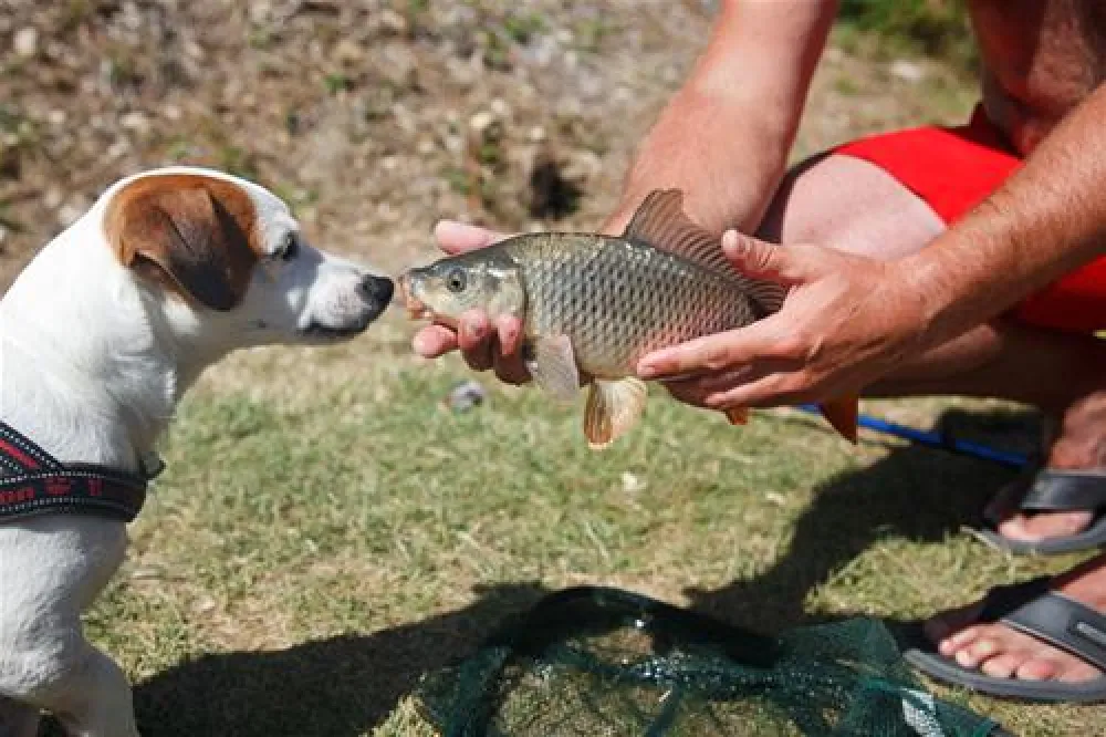 Castel Le Parc de Fierbois  