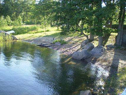 Camping Tamminiemi photo 3
