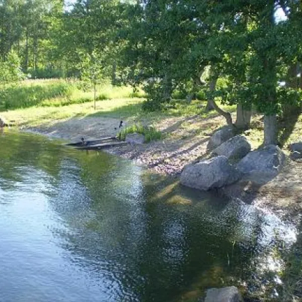 Camping Tamminiemi