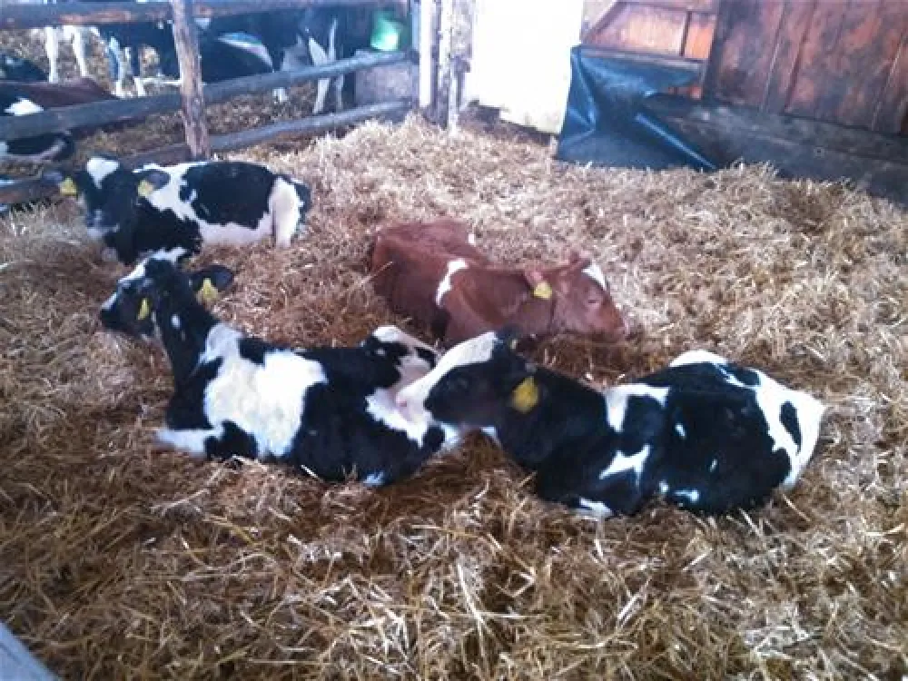 Ferienhof & Camping Zur Hasenkammer