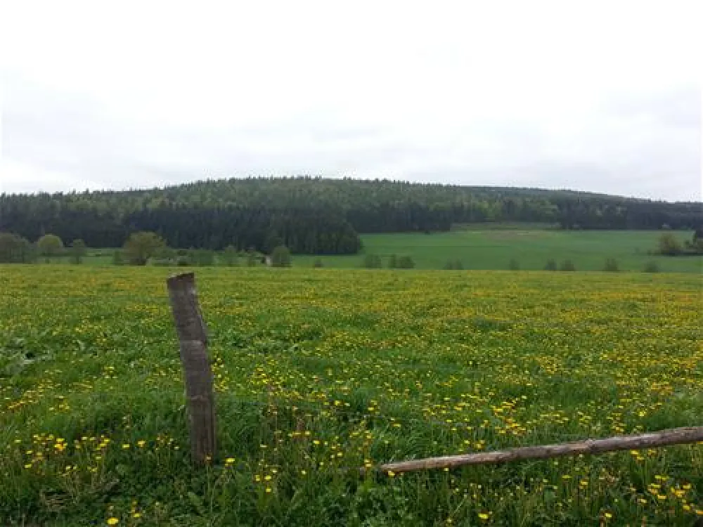 Ferienhof & Camping Zur Hasenkammer