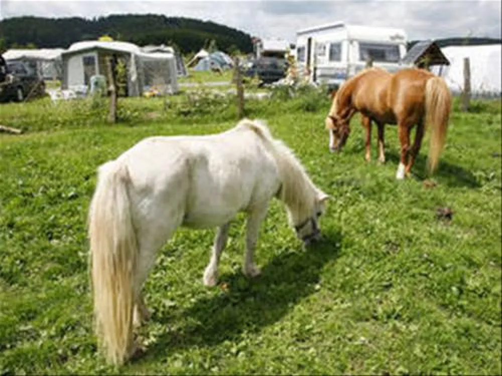 Ferienhof & Camping Zur Hasenkammer